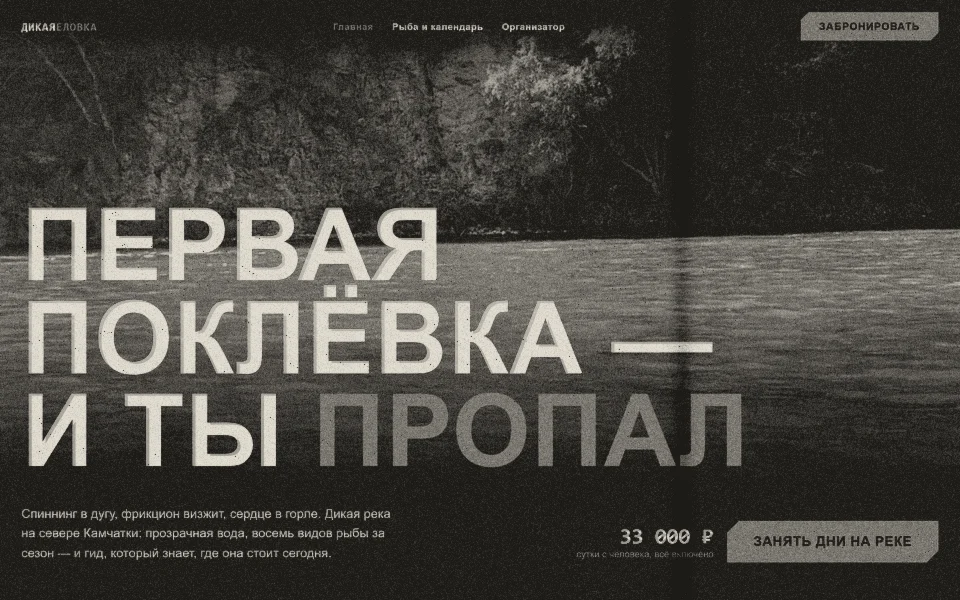 Первый экран сайта «Дикая Еловка» с кнопкой брони